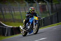 anglesey;brands-hatch;cadwell-park;croft;donington-park;enduro-digital-images;event-digital-images;eventdigitalimages;mallory;no-limits;oulton-park;peter-wileman-photography;racing-digital-images;silverstone;snetterton;trackday-digital-images;trackday-photos;vmcc-banbury-run;welsh-2-day-enduro